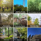 Professional weeding, bamboo, trees, pollution-free to make the farm cleaner