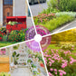 Colorful Wildflower Seed Mix for All Seasons