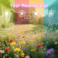 Colorful Wildflower Seed Mix for All Seasons