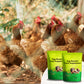 Suplemento Alimenticio para la Producción de Huevos