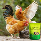 Suplemento Alimenticio para la Producción de Huevos