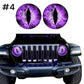 Beast Eyes Headlight Decals (1 Pair)